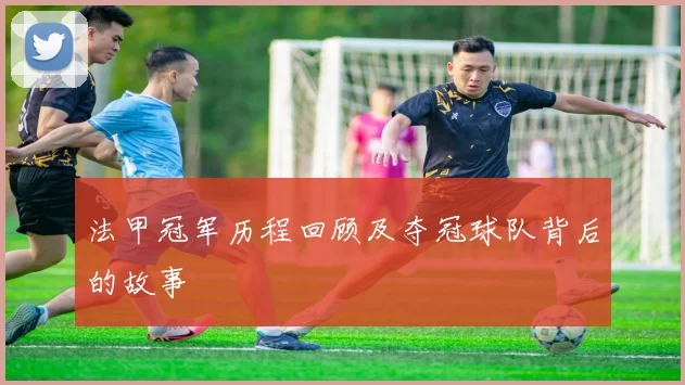 法甲冠军历程回顾及夺冠球队背后的故事