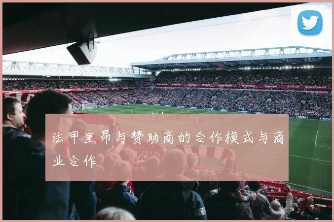 法甲里昂与赞助商的合作模式与商业合作