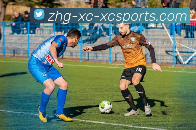 杏彩体育平台生态图